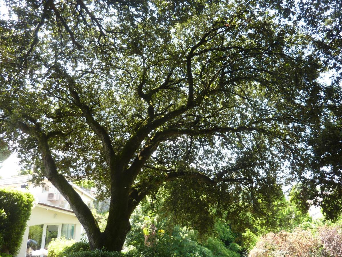 Beaux Chenes Bed and Breakfast Nérac Εξωτερικό φωτογραφία